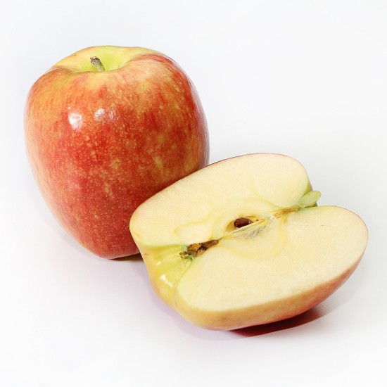 사과 껍질 음식물 쓰레기 | 쓰레기 백과사전 | 블리스고