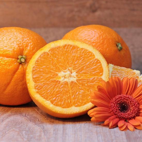 오렌지 껍질 음식물 쓰레기 | 쓰레기 백과사전 | 블리스고